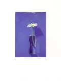 daisy-1976-euan-uglow-plakat-obraz-30x40cm