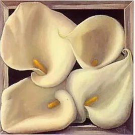 boxed-calla-lilies-jay-mercado-plakat-obraz-38x38cm