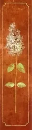hydrangea-pierre-viollet-plakat-obraz-20x80cm