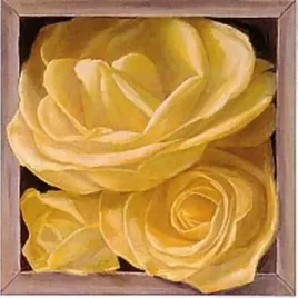 boxed-yellow-roses-i-jay-mercado-plakat-obraz-38x38cm