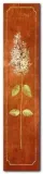 hydrangea-pierre-viollet-plakat-obraz-20x80cm-stan-nowy