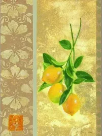 eastern-lemons-sherry-loeher-plakat-obraz-30x40cm
