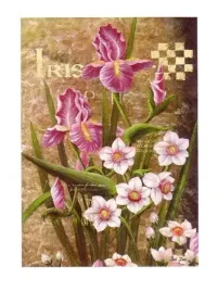 scent-bai-xue-plakat-obraz-30x40cm