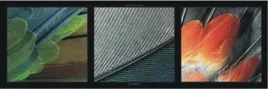 piora-pe-kolekcja-plakat-obraz-60x20cm