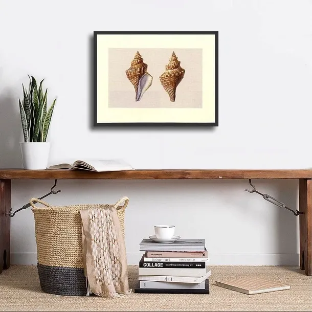 shells-anonim-plakat-obraz-40x30cm-tematyka-inna-tematyka