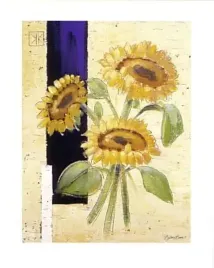 helianthus-bjorn-baar-plakat-obraz-40x50cm