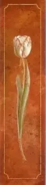 tulip-rouge-fabrice-de-villeneuve-plakat-obraz-20x80cm