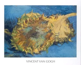 tournesol-vincent-van-gogh-plakat-obraz-50x40cm