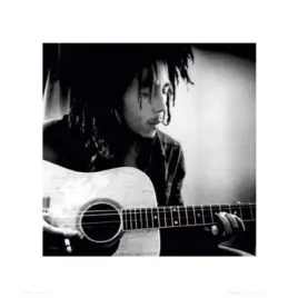 bob-marley-guitar-gbeye-collection-plakat-obraz-40x40cm