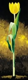 gelbe-tulpe-karsten-kirchner-plakat-obraz-25x70cm