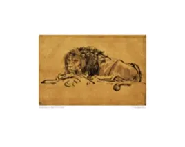 a-lion-lying-down-van-rijn-rembrandt-plakat-obraz-50x40cm