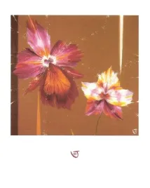 orchids-and-seeds-julia-ogden-plakat-obraz-40x50cm