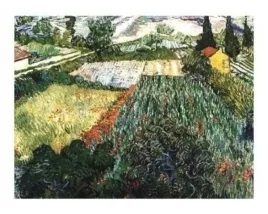 field-of-poppies-vincent-van-gogh-plakat-obraz-50x40cm
