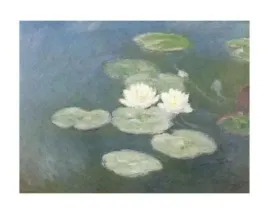 nymphaeas-by-nightfall-claude-monet-plakat-obraz-50x40cm