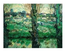blick-auf-arles-1889-vincent-van-gogh-plakat-obraz-50x40cm