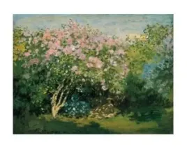 bluhender-flieder-in-der-sonne-1873-claude-monet-plakat-obraz-50x40cm