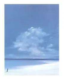 sandbank-dion-salvador-lloyd-plakat-obraz-40x50cm