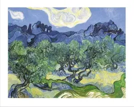 les-oliviers-vincent-van-gogh-plakat-obraz-50x40cm