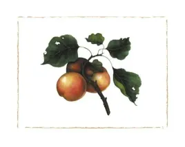 goldmine-nectarine-morgan-kari-plakat-obraz-50x40cm