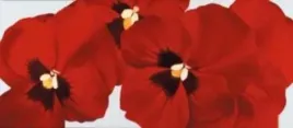red-ii-yvonne-poelstra-holzhaus-plakat-obraz-80x35cm