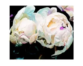 pivoines-claude-guibert-plakat-obraz-50x40cm