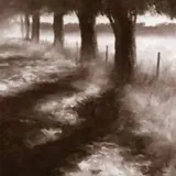 trees-along-path-robert-ford-plakat-obraz-50x50cm