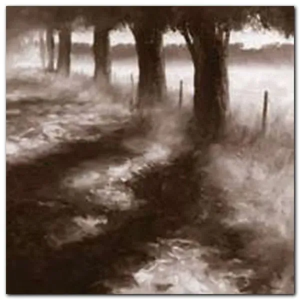 trees-along-path-robert-ford-plakat-obraz-50x50cm-stan-nowy