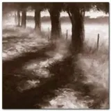trees-along-path-robert-ford-plakat-obraz-50x50cm-stan-nowy