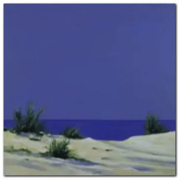 dunes-1-eick-werner-plakat-obraz-50x50cm-stan-nowy