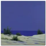 dunes-1-eick-werner-plakat-obraz-50x50cm-stan-nowy