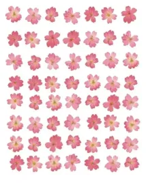 eight-lines-of-pink-flowers-tasmin-phoenix-plakat-obraz-40x50cm