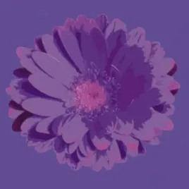 flower-3-jan-lens-plakat-obraz-50x50cm