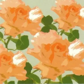 pink-blooms-jan-lens-plakat-obraz-50x50cm