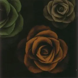 rose-trio-ii-jan-lens-plakat-obraz-50x50cm
