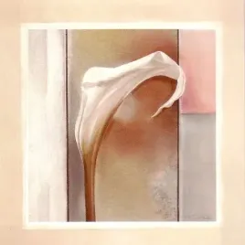 pink-gray-and-white-tamara-ross-plakat-obraz-50x50cm