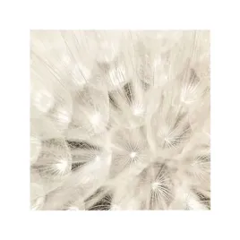 on-the-breeze-adam-brock-plakat-obraz-50x50cm