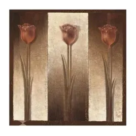 three-tulips-mira-latour-plakat-obraz-50x50cm