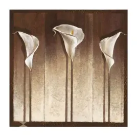 three-calla-lilies-mira-latour-plakat-obraz-50x50cm