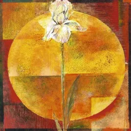 white-iris-dulac-yvonne-plakat-obraz-50x50cm
