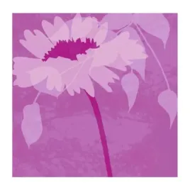 boshoku-kate-knight-plakat-obraz-50x50cm