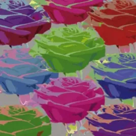 rose-composition-1-jan-lens-plakat-obraz-50x50cm