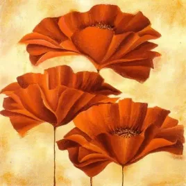 three-poppies-ii-nicola-rabbett-plakat-obraz-50x50cm