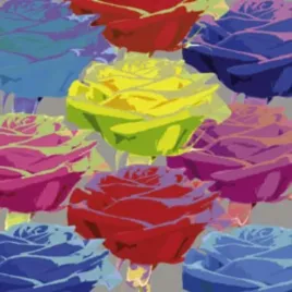 rose-composition-2-jan-lens-plakat-obraz-50x50cm