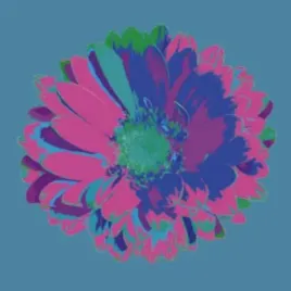flower-1-jan-lens-plakat-obraz-50x50cm