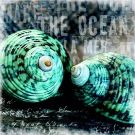 blue-ocean-shells-andrea-haase-plakat-obraz-50x50cm