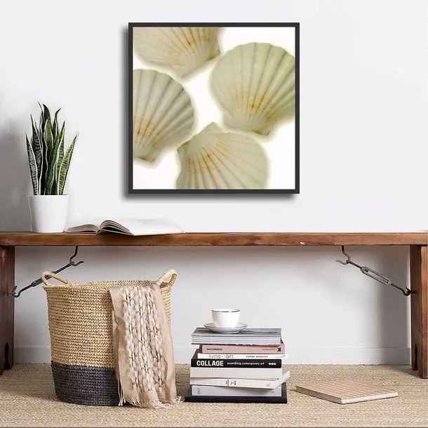 shells-ii-jan-lens-plakat-obraz-50x50cm-tematyka-inna-tematyka