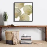 shells-ii-jan-lens-plakat-obraz-50x50cm-tematyka-inna-tematyka