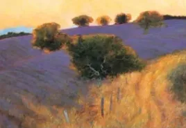 provence-uve-herbst-plakat-obraz-65x44cm