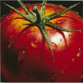tomato-almach-plakat-obraz-50x50cm