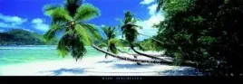 mahe-seychelles-harris-granville-plakat-obraz-95x33cm